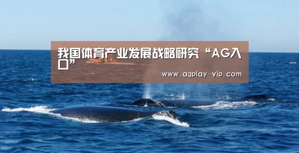 我国体育产业发展战略研究“AG入口”(图2) AG直播