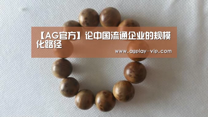 【AG官方】论中国流通企业的规模化路径(图2) AG官方